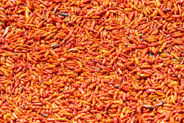 Fototapeta premium Various dried herbs cayenne pepper and daisy. Colorful winter herb tea. Colorful herb background