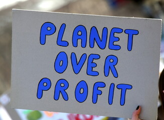 Schild auf einer Klima-Demo: 