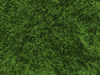 green grass texture background © Beta757