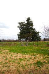 Fototapeta premium Confederate Cemetery, Eastern Flank Battlefield Park, Franklin, Tennessee