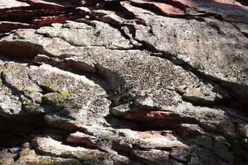 Hintergrund Felswand. Pfälzerwald.