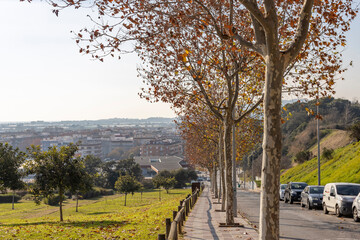 Blanes, Spain - 22 December, 2021: Cityscape, bright sunny day in a small European town. Urban environment.