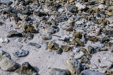 The virgin nature of New Caledonia with its beautiful landscapes