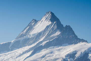 Fototapeta premium the peak of Schreckhorn in the Swiss Alps