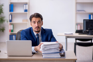 Naklejka premium Young male employee working in the office