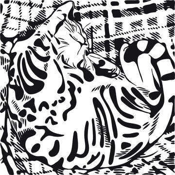 Vector illustration cat on the plaid black and white