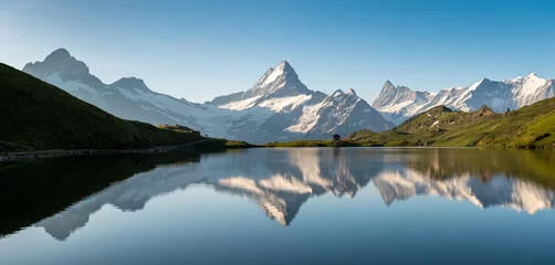 Schreckhorn und Bachalpsee an einem schönen Sommermorgen © schame87