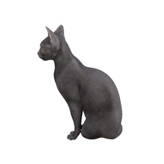 Sphynx cat isolated on white background. 3d rendering-illustration.