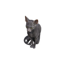 Sphynx cat isolated on white background. 3d rendering-illustration.