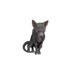 Obraz premium Sphynx cat isolated on white background. 3d rendering-illustration.