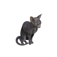 Sphynx cat isolated on white background. 3d rendering-illustration.
