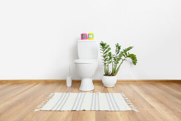 Paper rolls on toilet bowl and houseplant in interior of stylish restroom