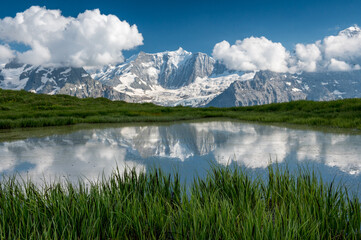 Fototapeta na wymiar alpine pond with reflection of mountains above grindelwald