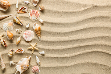 Fototapeta na wymiar Many different sea shells on sea coast