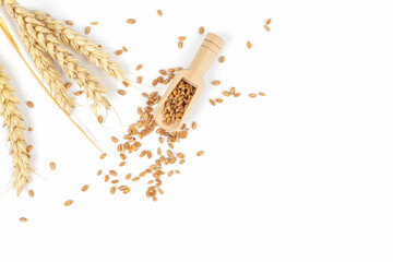 Ripe ears of wheat and wheat grains in wooden spoon isolated on white. Top view.