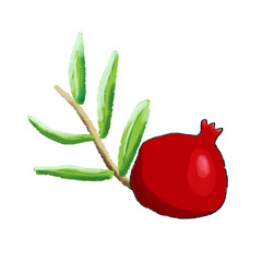 Pomegranate fruit with a branch with green leaves, painted in watercolor. On a white background.