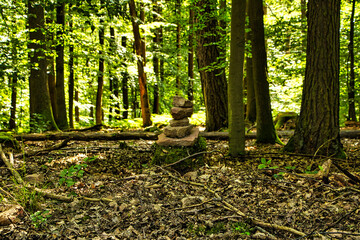 Steinmännchen im Wald 