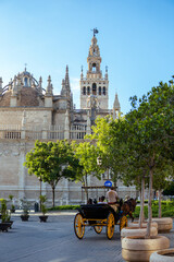 Naklejka premium Vertical of Cathedral Seville in Spain in a sunny day