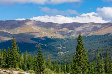 Beautiful mountain view in summertime