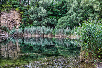 See im Sommer mit viel grün 