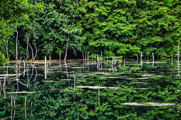 Fototapeta premium Blick auf See im Sommer 