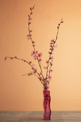 branches of a blossoming peach in a vase on a pink background