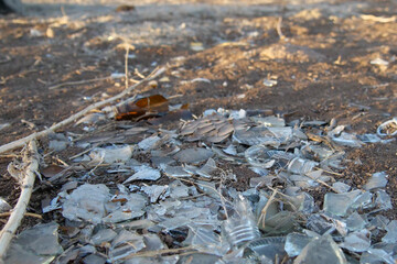 Close up of scattered pieces of broken glass polluting nature