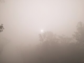 foggy weather in the morning in Bangladesh