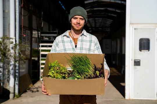 Man carrying box with vegetable seedlings to plant