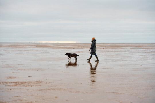 Female walking her dog at low tide on a beach in winter