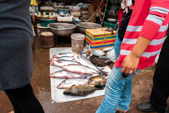 Fishmonger dispatching fish on the floor of a market