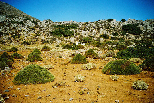 Desert land