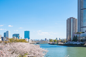 大阪　春の桜ノ宮の風景