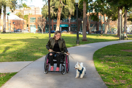 Woman in Wheelchair Walks Dog