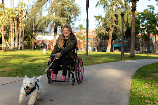 Dog Pulls on Leash Held by Woman in Wheelchair