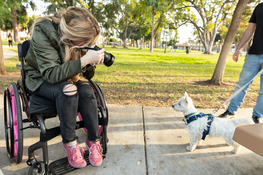 Woman in Wheelchair Photographs a Dog