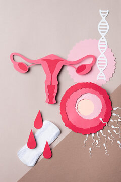 Menstruation. Feminine world