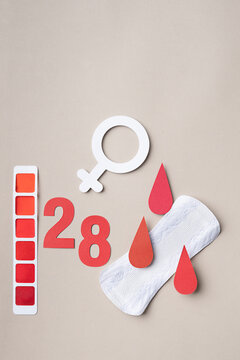 Menstruation. Feminine world