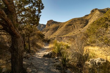 Fototapeta premium Path curving through desert mountains
