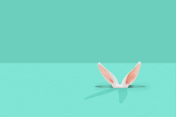 White Easter bunny rabbit peeking out from hole on tiffany green pastel background. Creative minimal concept. - obrazy, fototapety, plakaty