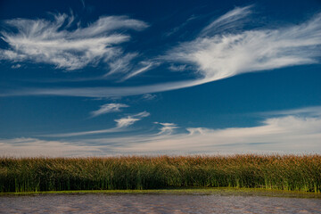 Clouds over reeds on the Tigre Delta island.