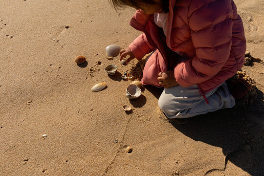 Little girl collecting sea shells