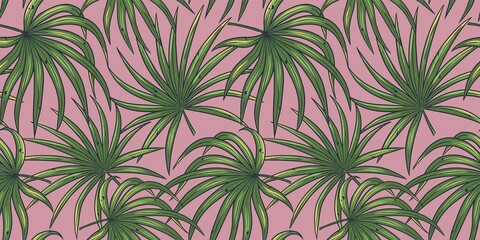 Summer tropical exotic plants and leaves, palm foliage seamless pattern wallpaper design