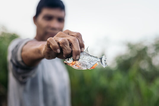 Fisherman showing a piranha