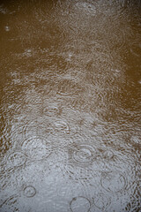 Obraz premium Raindrops fall on the brown waters of a river.