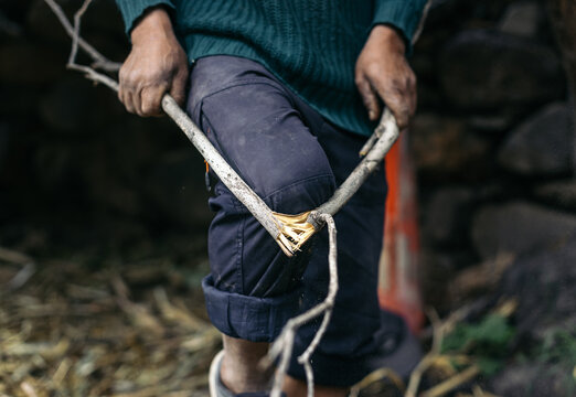 Anonymous man breaking a branch with his knee