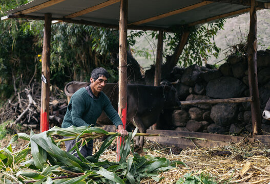 Hispanic man working on a farm