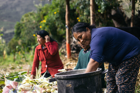 Hispanic group working on a farm
