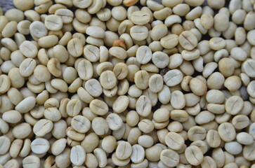 Close up of dried parchment.