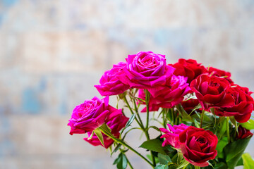 美しい真紅のバラとピンクのバラ